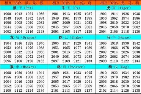 82屬什麼|1982 年出生属什么生肖